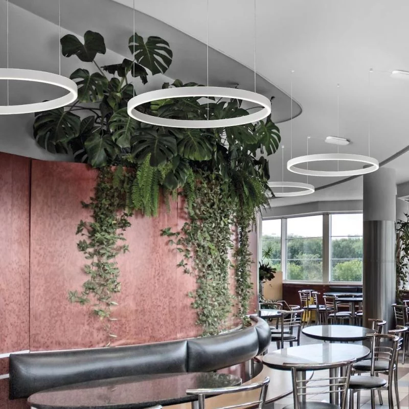 Weiße Ring Pendelleuchte Loop in Cafeteria
